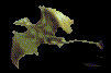 Dragon2.gif (1998 bytes)