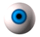 eye.GIF (2895 bytes)