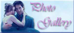 Photo Gallery