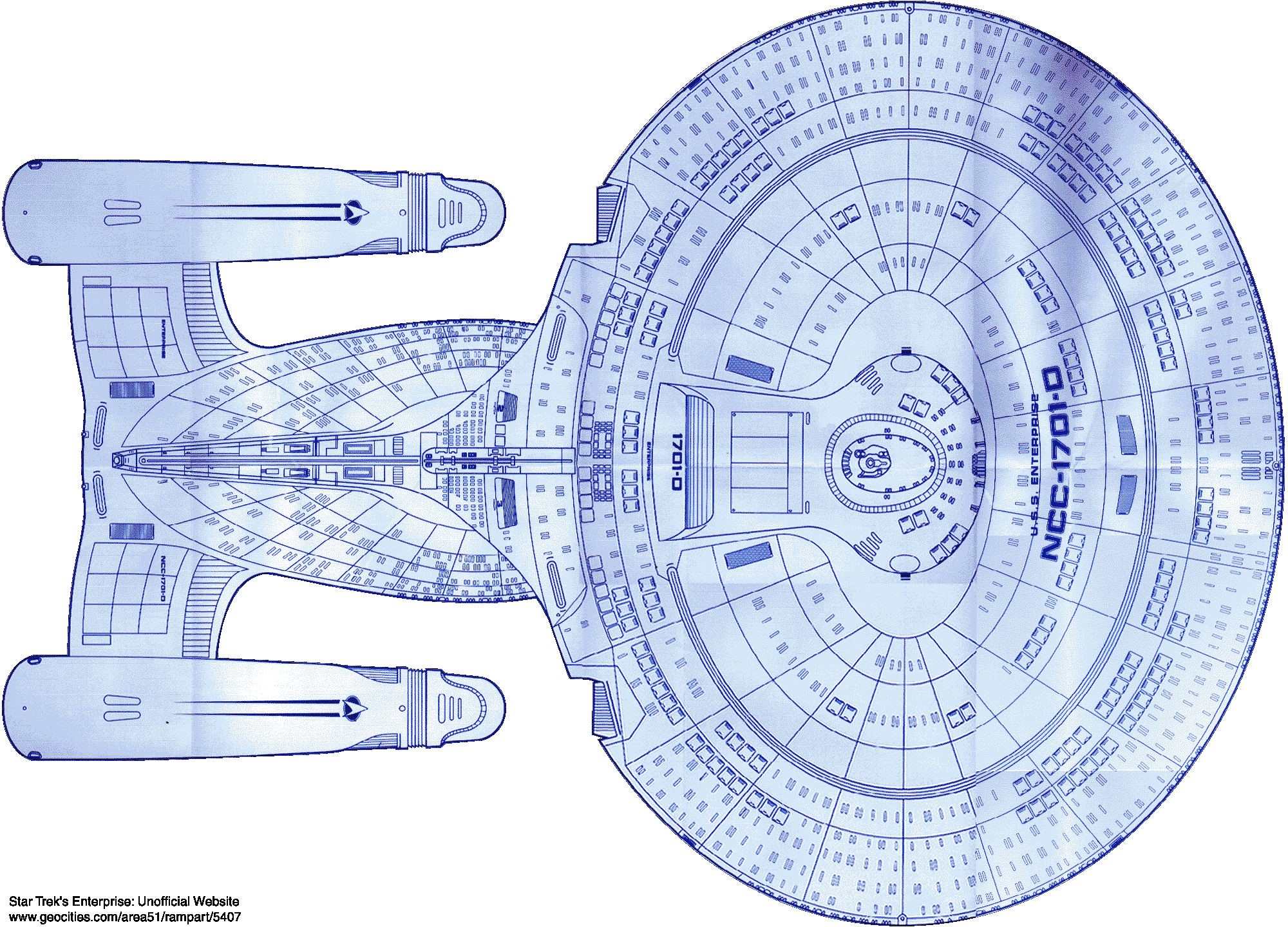 Dorsal Surface Plan View