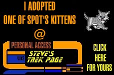 Adopt a Cyber-Kitten