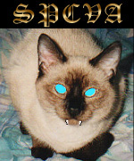 Vampire Pet