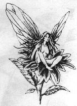 Click here to return to the table of contents