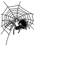 wspider02.gif (65584 bytes)