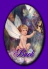fairyback.jpg (4528 bytes)