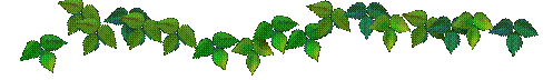 ivybar.gif (6203 bytes)