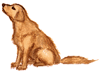 puppy2.gif (3340 bytes)