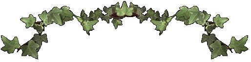 EBivybar.gif (18346 bytes)