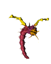 batworm.gif (35064 bytes)