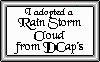 raincertificate.gif (1680 bytes)
