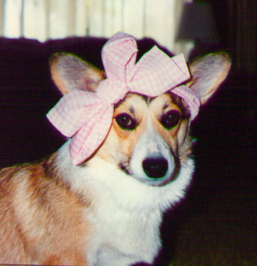 She's so sweet with her little bow