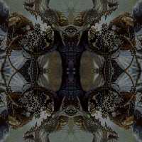 Wild Tile Image on Black