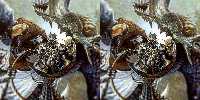 Wild Tile Example 2