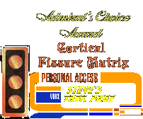 Admiral's Choice Award, Vice-Admiral Rank