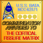 USS BATA COMMENDATION AWARD