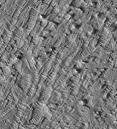 mars surface