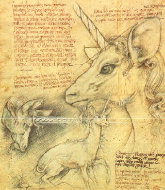 Cuerno Unicornio