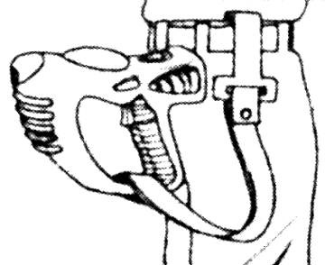 Holster