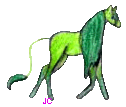 /user/13.gif
