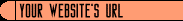 Your Website's URL