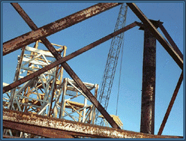 La mouche Zip qui folâtre dans le ciel !