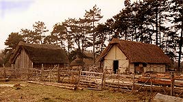 The Village