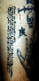 picture of tattoo of perl program