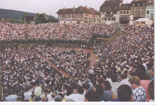 The amphitheatre