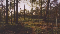 Cugy Tumulus