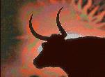 Mars in Taurus