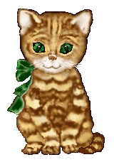 CuteCat