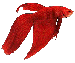 fishie