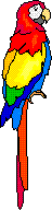 parrot