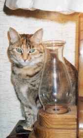Tigger's Picture