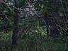 skyland026.jpg