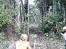 skyland040.jpg