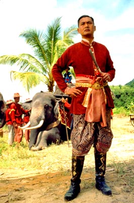CYF with elephant, from the official  AATK site