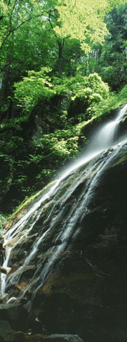 Green Environment
