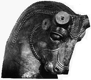 bullhead.