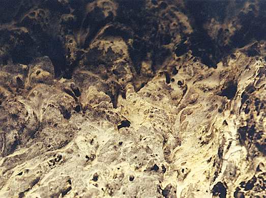 Rock flow in Mushpot cave