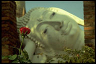 Ayutthaya Buddha