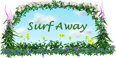 Surf Away