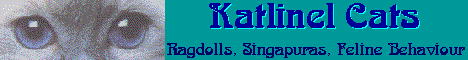 Katlinel  Cats - Rags, Singapuras, Feline behaviour