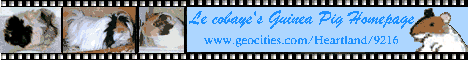 Le Cobaye's Guinea Pig  Home Page
