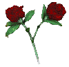 The Garden logo: 2 roses joined at the stem