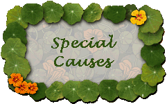 Special Causes