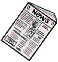 Newspaper