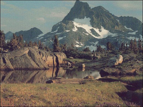 Nature's Stillness in the Rockies