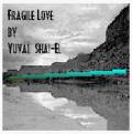 Fragile Love by Yuval Shay-El (in real audio format)