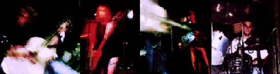 Steve, Shannon, Randy, Dave